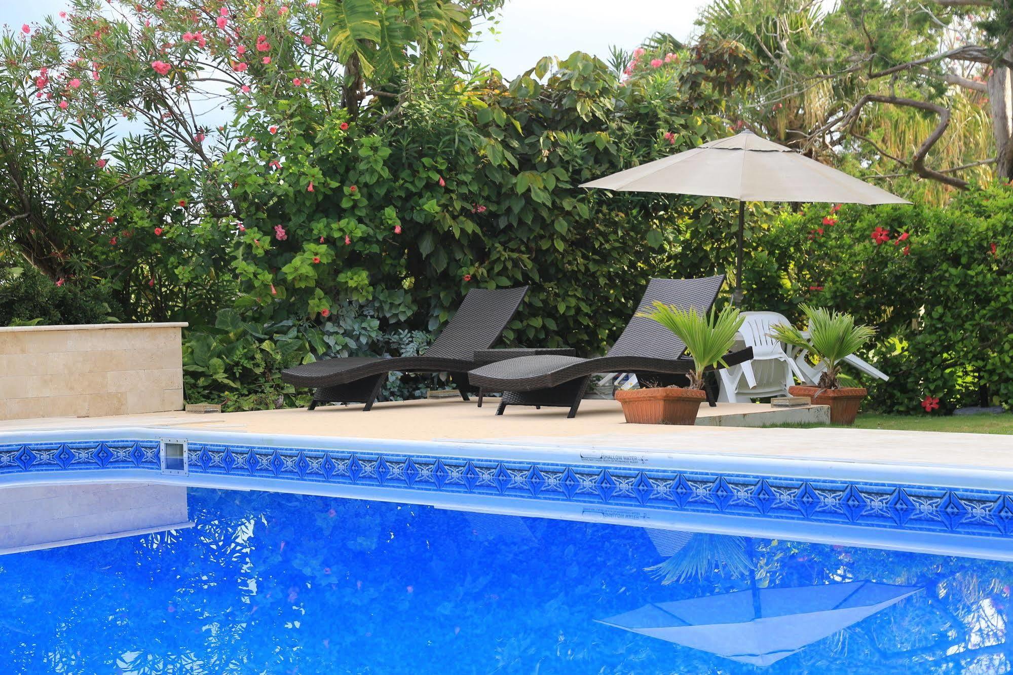 האמילטון Edgehill Manor Guest House מראה חיצוני תמונה